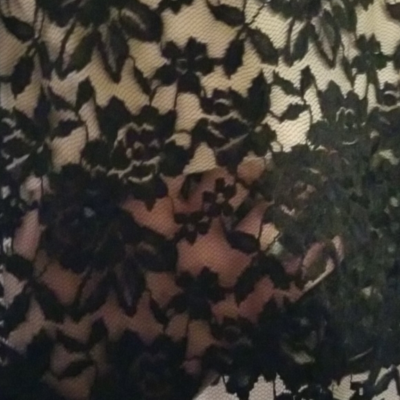 Lace Skirt - Picture 2 of 3